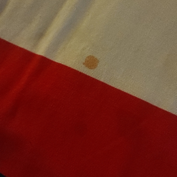 Polo by Ralph Lauren Kids Shirt | Small Horse Logo | Multicolored Striped | XL - Picture 4 of 4